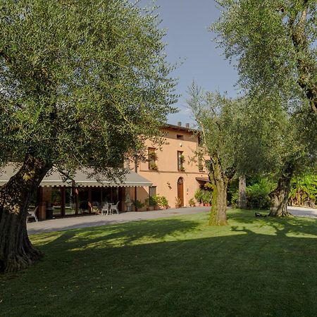 Agriturismo Ripa Del Bosco Capriolo Eksteriør bilde