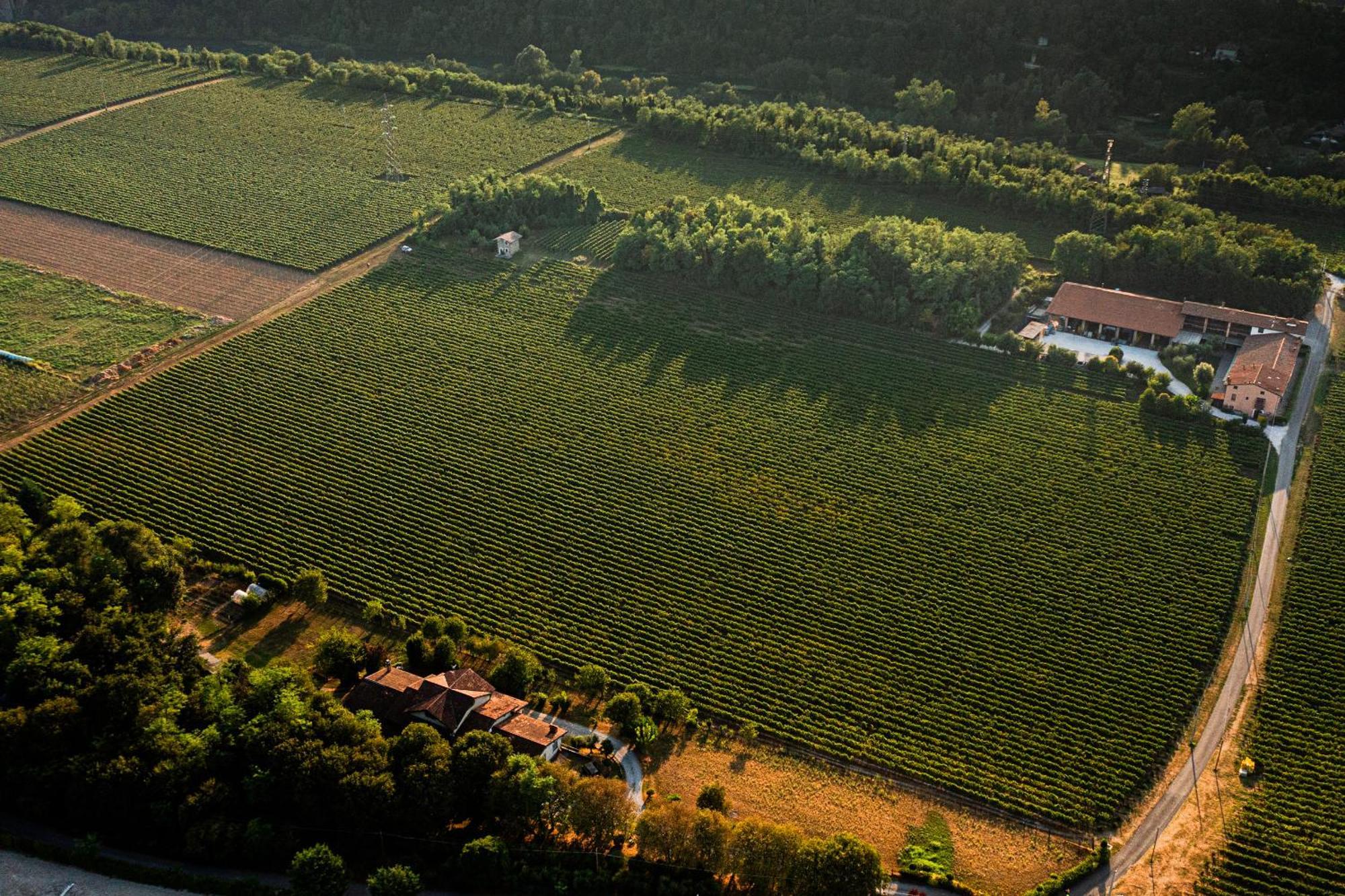 Agriturismo Ripa Del Bosco Capriolo Eksteriør bilde