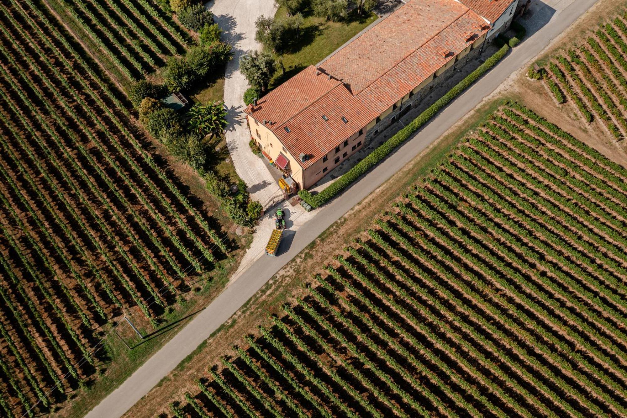 Agriturismo Ripa Del Bosco Capriolo Eksteriør bilde