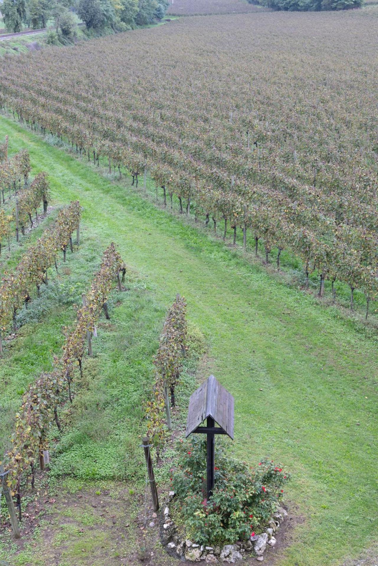 Agriturismo Ripa Del Bosco Capriolo Eksteriør bilde